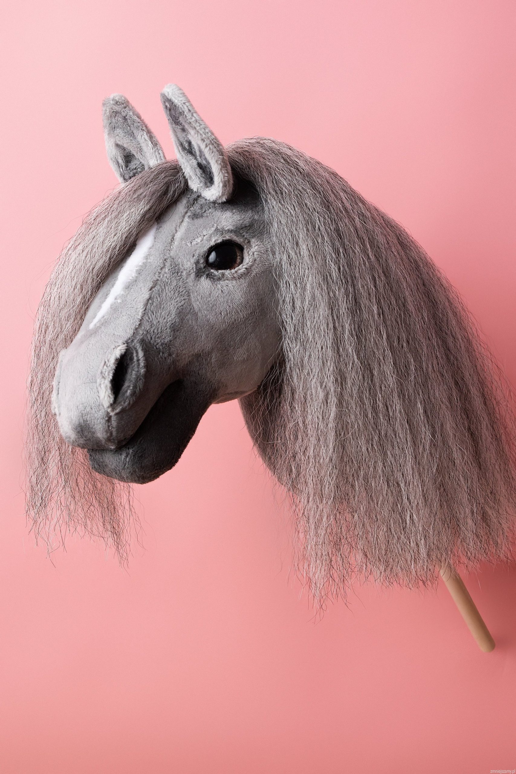 Hobby Horse - Maść Siwa